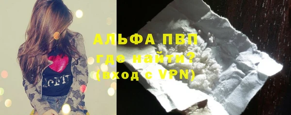 стаф Дмитров