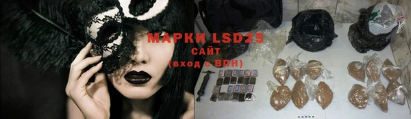 шишки Горно-Алтайск