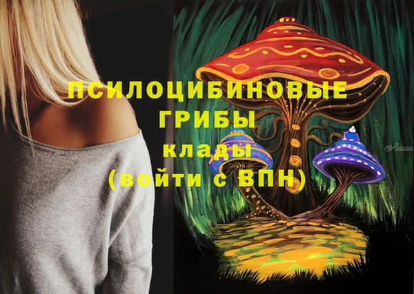 дурь Дмитриев
