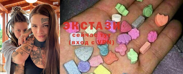 стаф Дмитров