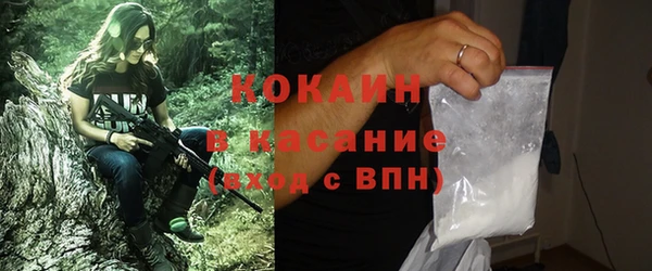 дурь Дмитриев