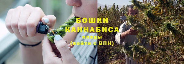 дурь Дмитриев