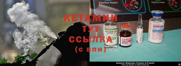 стаф Дмитров