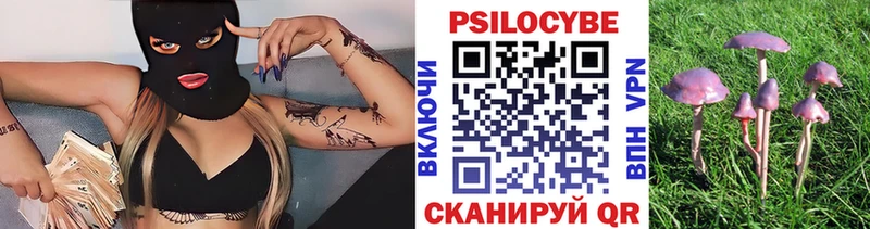 Галлюциногенные грибы GOLDEN TEACHER  как найти наркотики  Невинномысск 